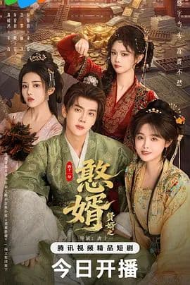 憨婿海报