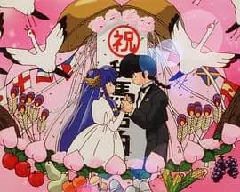 乱马1/2：OVA 珊璞暴变—反转宝珠之祸海报