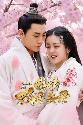 我的双面夫君海报