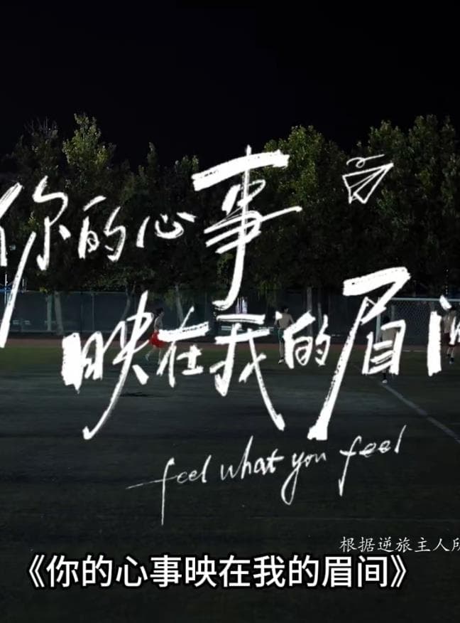 你的心事映在我的眉间海报