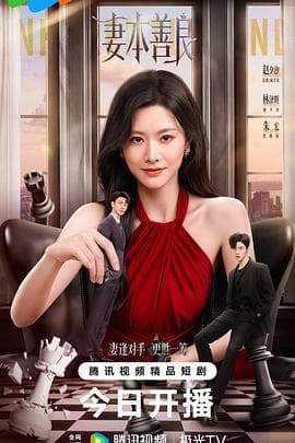 妻本善良海报