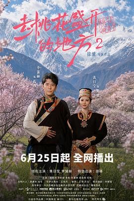 去桃花盛开的地方2海报
