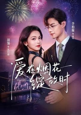 爱在烟花绽放时海报