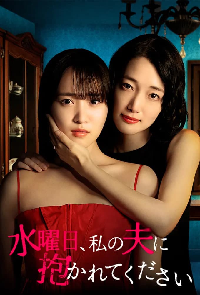 星期三，请让我丈夫拥抱你 水曜日海报