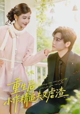 重生后，小撩精追夫又虐渣海报