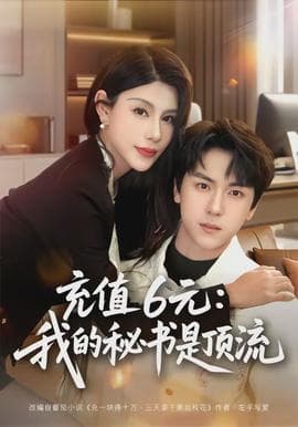充值6元：我的秘书是顶流海报