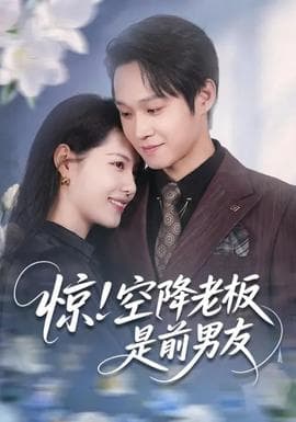 惊！空降老板是前男友海报