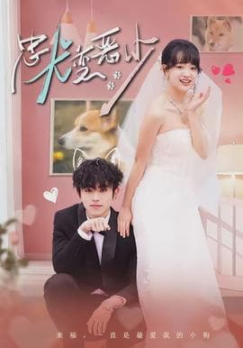 忠犬变恶少海报