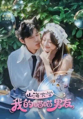 山海大学我的喵喵男友海报