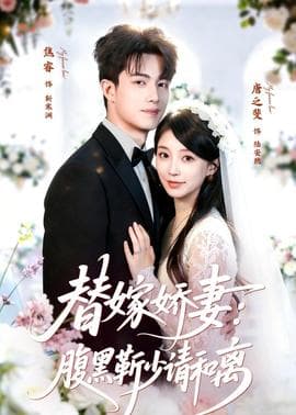 替嫁娇妻：腹黑靳少请和离海报