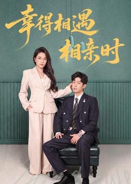 幸得相遇相亲时海报