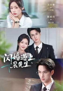 闪婚遇上裴先生海报
