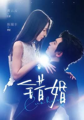 错婚海报
