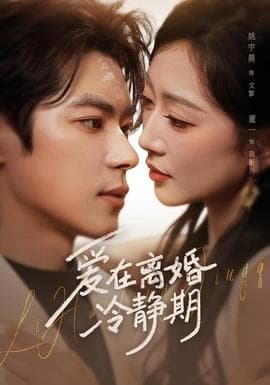 爱在离婚冷静期海报