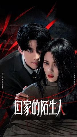 回家的陌生人海报