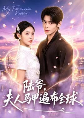 陆爷，夫人马甲遍布全球海报
