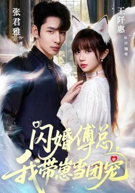 闪婚傅总，我带崽当团宠海报