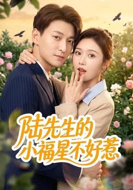 陆先生的小福星不好惹海报