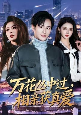 万花丛中过，相亲获真爱海报