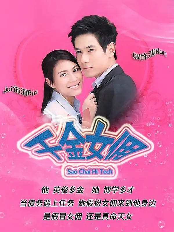 千金女佣2010海报