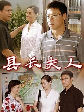 县长夫人海报