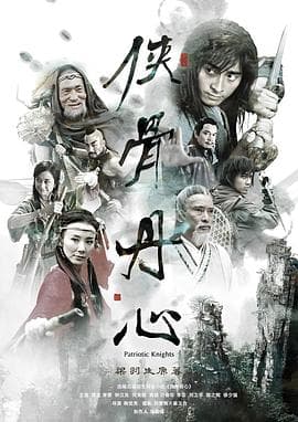 侠骨丹心海报