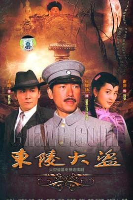 东陵大盗2008海报
