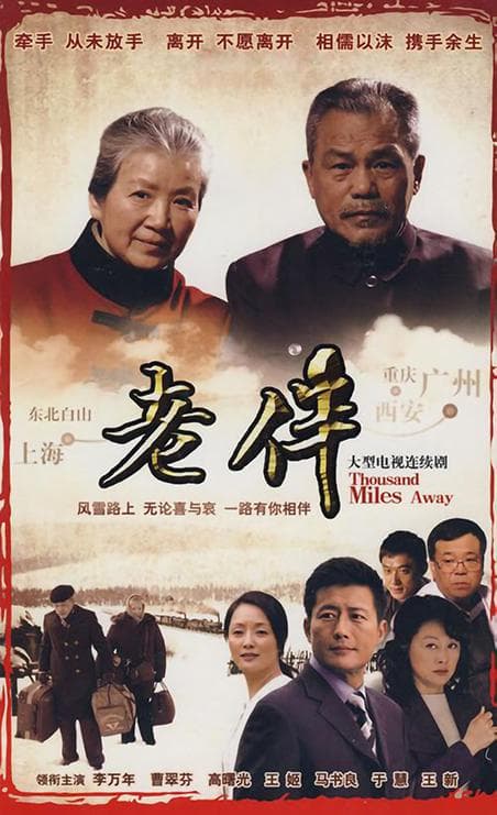 老伴海报