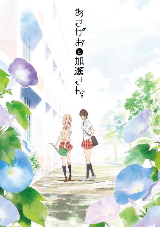 牵牛花与加濑同学。海报